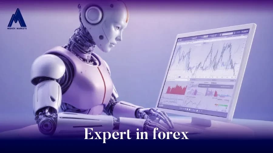 What is an Expert in Forex