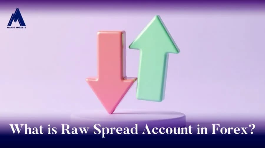 What is a Raw Spread Account in Forex
