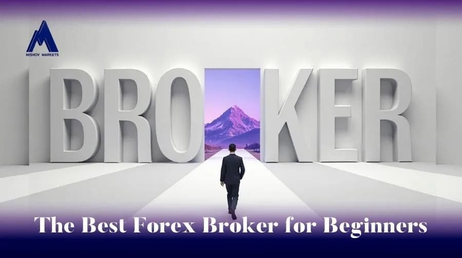 The Best Forex Broker for Beginners