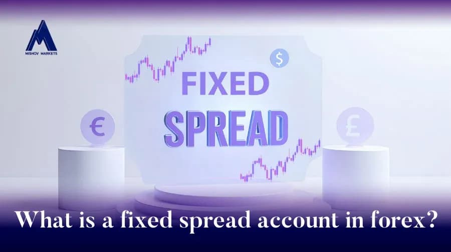 What is a fixed spread account in forex
