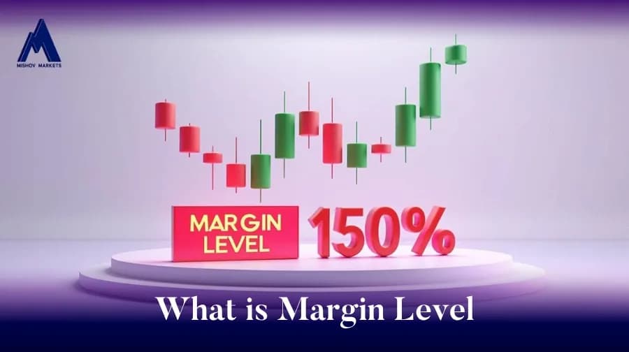 What is the Margin Level